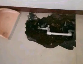 东城卫生间测漏水多少钱